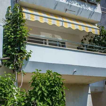 Tereza * بوريتش