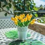 Apartman Tereza Porec