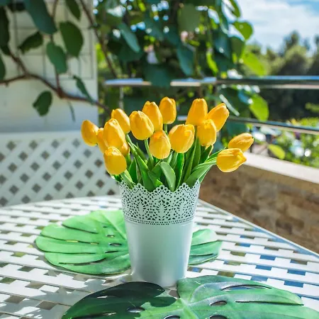 Apartman Tereza Porec